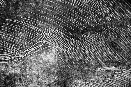 white black  paint background texture with grunge brush strokes