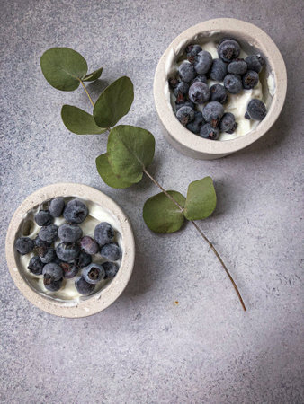 blueberry with yogurt in two bowlsの写真素材