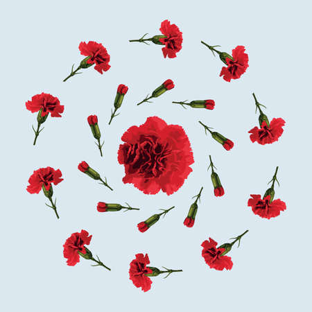 Pattern of red carnation on blue backgroundのイラスト素材
