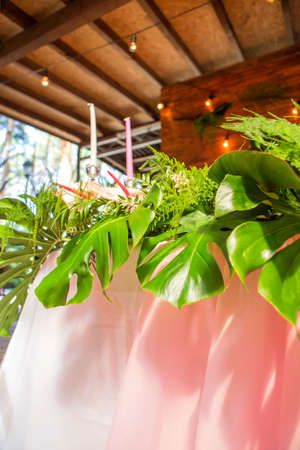 Decoration for a wedding ceremony on a back yard with tables, plates, and vases full of anthurium flowers and monstera leafs. Pink and green colors. Space for textの写真素材