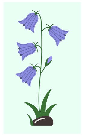 purple bluebell flower, spring motif in flat style.のイラスト素材