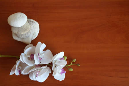 white orchid and natural stones pyramid on wooden background close upの写真素材