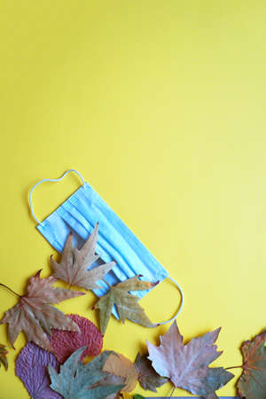 medical mask and autumn leaves on yellow background, copy space, mockup blankの写真素材