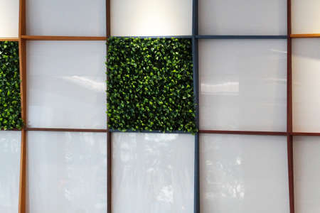 wall made of artificial green plants and organic glass, artificial landscaping in the interior