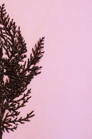 brown gilded branch on a pink background for Christmas blank, copy spaceの写真素材