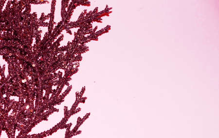 brown gilded branch on a purple background for Christmas blank, copy spaceの写真素材