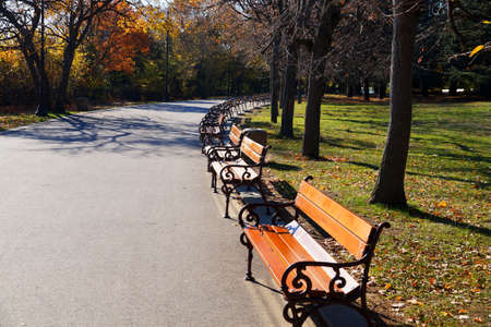 empty benches n the park on a sunny dayの写真素材