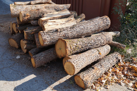 firewood for heating, a pile of lime logs on the ground