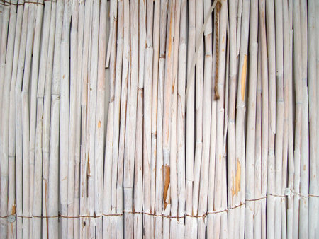 dry cane, texture for natural beige background.