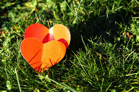 two red paper hearts on green grass in sunlight, copu space