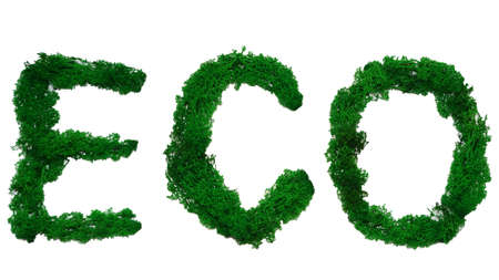 word eco made from stabilized moss on white background.