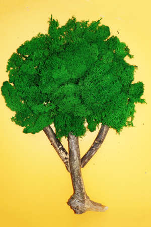 tree made from stabilized moss on yellow background.の写真素材