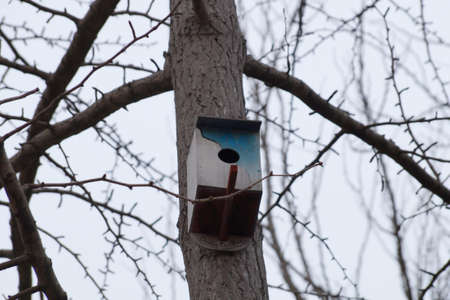 wooden birdhouse on the trunk of a winter tree.の写真素材