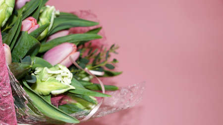 bouquet of pink and green tulips on a pink background, copy spaceの写真素材