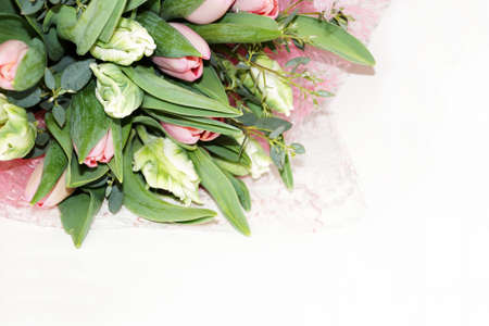 bouquet of pink and green tulips on a white background, copy spaceの写真素材