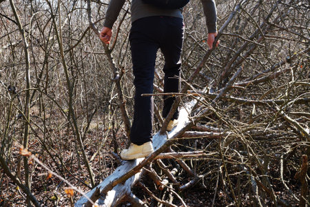 a man walks on a fallen dry tree in the forest close-upの写真素材