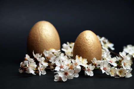 golden eggs and flowering branch on black background, easter conceptの写真素材
