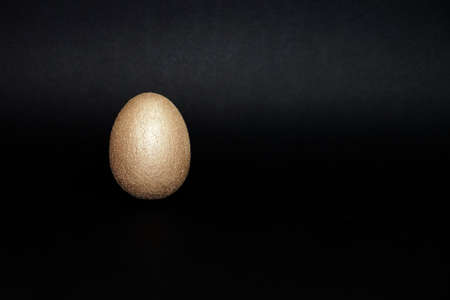 golden egg on black background close up copy spaceの写真素材