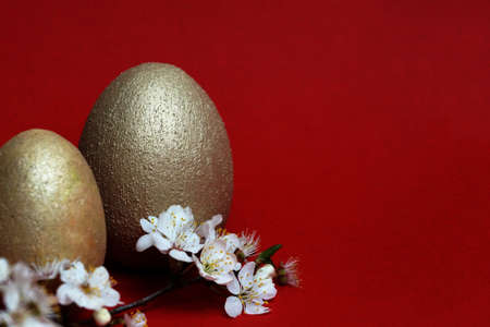 golden eggs and flowering branch on red background, easter concept, copy spaceの写真素材
