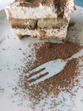 tiramisu cake sprinkled with chocolate chips close-upの写真素材