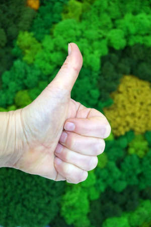 hand with thumb up showing super against wall background of green decorative stabilized moss.の写真素材