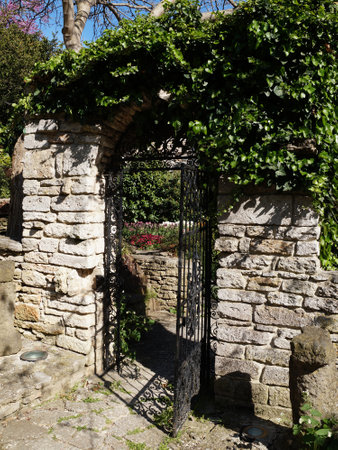 forged iron wicket in a stone wall overgrown with green creeping plants.の写真素材