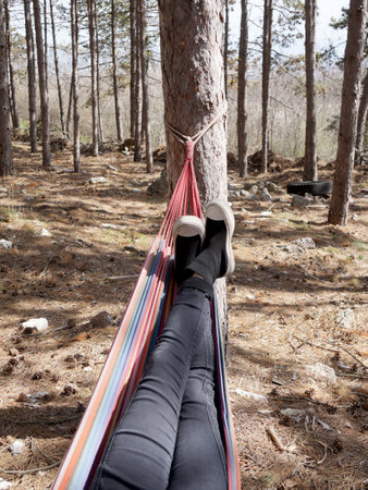 female legs on a hammock in a pine forest on a sunny day.の写真素材