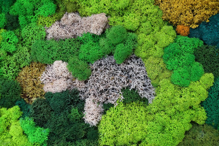 Decorative stabilized forest moss of different shades. in wall decor. Eco-friendly interior design.