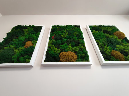 Three framed panels with artificial stabilized forest moss as interior decor. Contemporary eco-style...