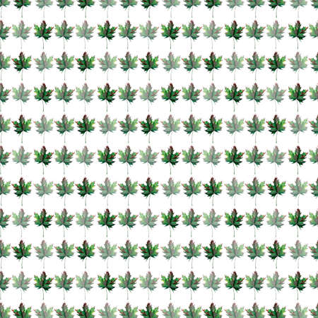 Lovely tender gentle graphic artistic abstract bright floral herbal autumn green maple leaves pattern watercolor hand sketchの写真素材