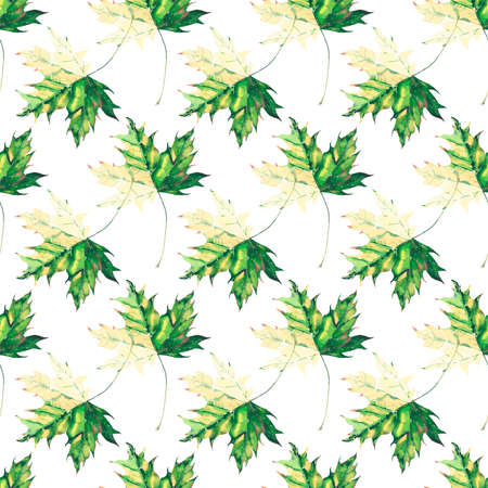 Beautiful bright graphic tender herbal floral autumn green and yellow maple leaves pattern watercolor hand illustration. Perfect for textile, wallpapers, wrapping paper, greetings cardの写真素材