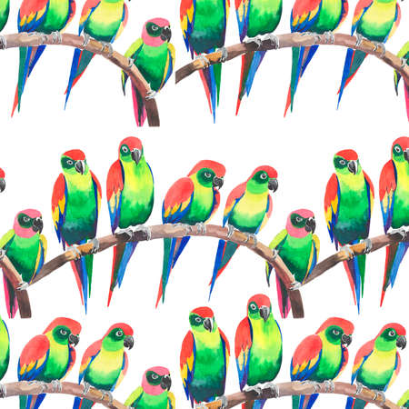 Bright colorful cute beautiful jungle tropical yellow and green parrots on a branch pattern watercolor hand illustration. Perfect for greetings card, textile, wallpapersの写真素材
