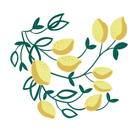 Vector illustration of decorative lemon branche. Great for home posters, textile decoration, paper print and design. Isolated on white background.のイラスト素材
