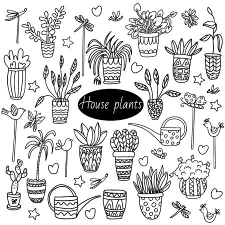 Houseplant set with watering cans, decorative figure sticks, potted plants. Birds, dragonflies, butterflies. Vector hand drawn illustration in doodle style isolated on white. Great for coloring books.のイラスト素材