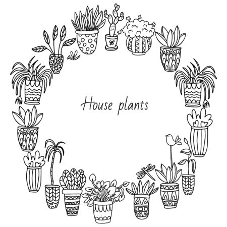 Round frames with houseplants in pots decorated with ornaments on white background. Decorative butterflies, dragonflies and birds. Doodle style illustration in black ink.のイラスト素材