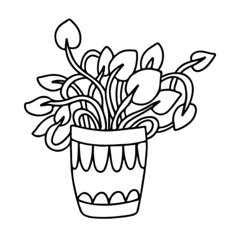 Climbing plant in a pot, scindapsus in doodle style. Hand drawn vector illustration in black ink on white background.のイラスト素材