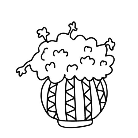 House plant with a fluffy crown in a pot decorated with ornaments. Doodle style. Hand drawn vector illustration in black ink on white background.のイラスト素材