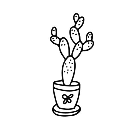 House plant in a pot decorated with ornaments. Cactus in doodle style. Hand drawn vector illustration in black ink on white background.のイラスト素材
