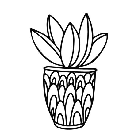 House plant in a pot decorated with ornaments. Doodle style. Hand drawn vector illustration in black ink on white background.のイラスト素材