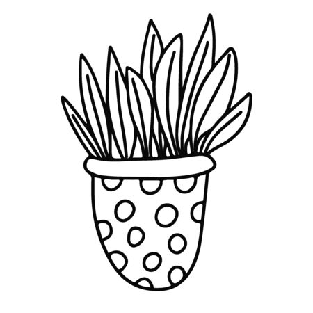 Houseplant in a pot decorated with polka dots. Doodle style. Hand drawn vector illustration in black ink isolated on white background.のイラスト素材