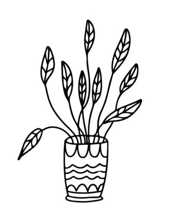 House plant in a pot decorated with ornaments. Doodle style. Hand drawn vector illustration in black ink on white background.のイラスト素材