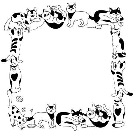 Square frame with black and white cats.のイラスト素材