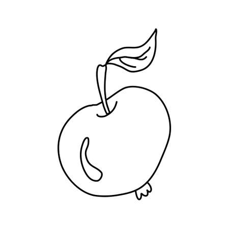 Hand drawn vector illustration in black ink on white background. A nice apple in doodle style. Isolated outline.のイラスト素材