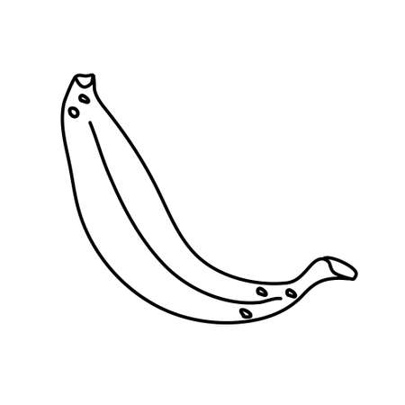 Hand drawn vector illustration in black ink on white background. A banana in doodle style. Isolated outline.のイラスト素材