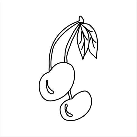 Hand drawn vector illustration in black ink on white background. Nice cherries in doodle style. Isolated outline.のイラスト素材