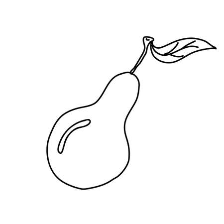 Hand drawn vector illustration in black ink on white background. A nice pear in doodle style. Isolated outline.のイラスト素材