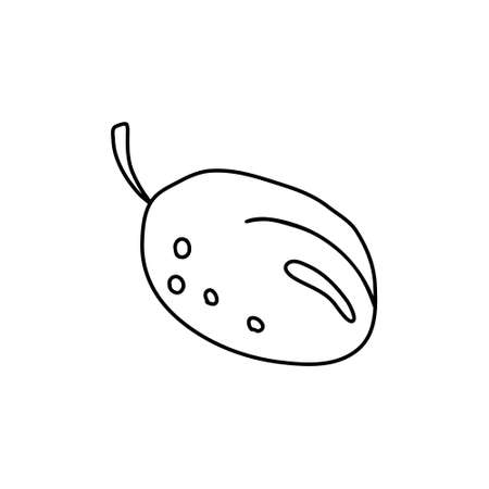 Hand drawn vector illustration in black ink on white background. A nice plum in doodle style. Isolated outline.のイラスト素材