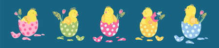 Collection of colorful easter eggs with cute little chickens in them. Great for Easter products...