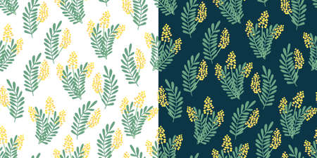 Two vector seamless patterns with nice mimosa flowers and leaves on white and dark. Great for fabrics, especially for linens, wrapping papers, wallpapers, covers. Hand drawn flat illustration.のイラスト素材