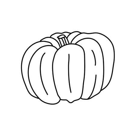Pumpkin or squash in doodle style. Isolated outline.のイラスト素材